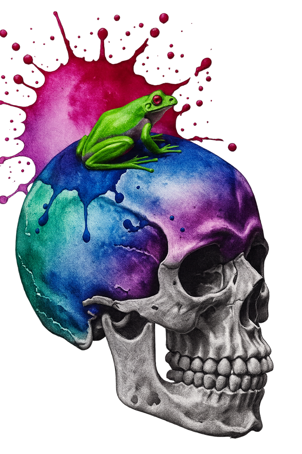 Imagen principal
