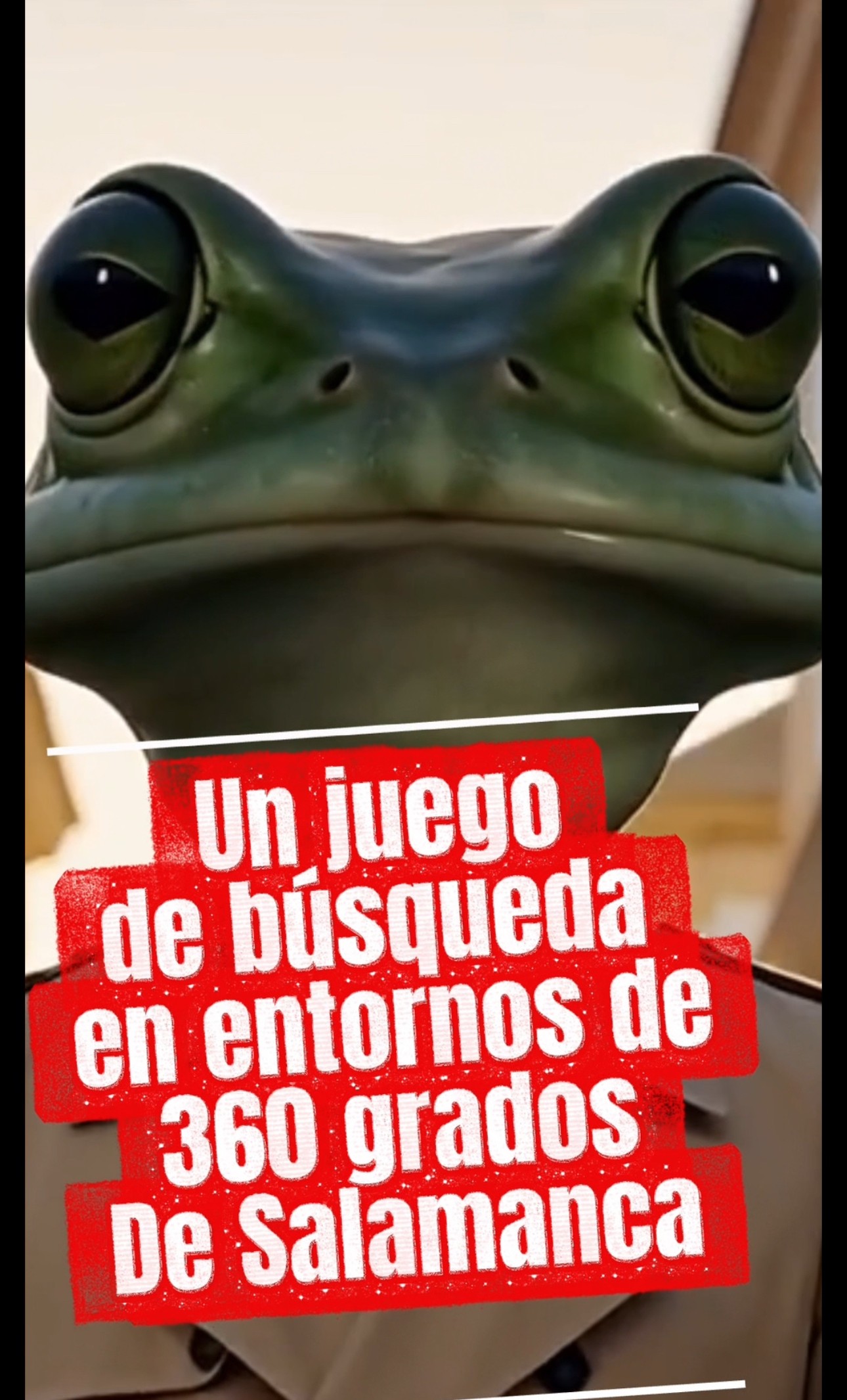 Encuentra la rana de Salamanca 360º